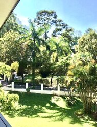 The Holland Collection (D10), Apartment #456585031